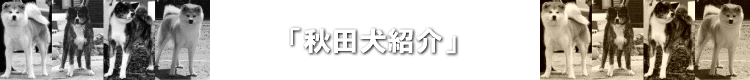 �H�c���Љ�