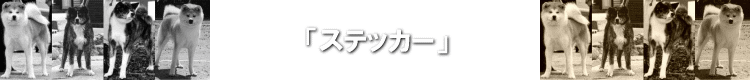 XebJ[